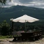 Czajka