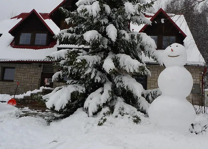 Bed & Breakfast Czajka 2*