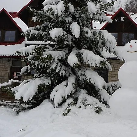 فندق مبيت وإفطار Czajka 2*